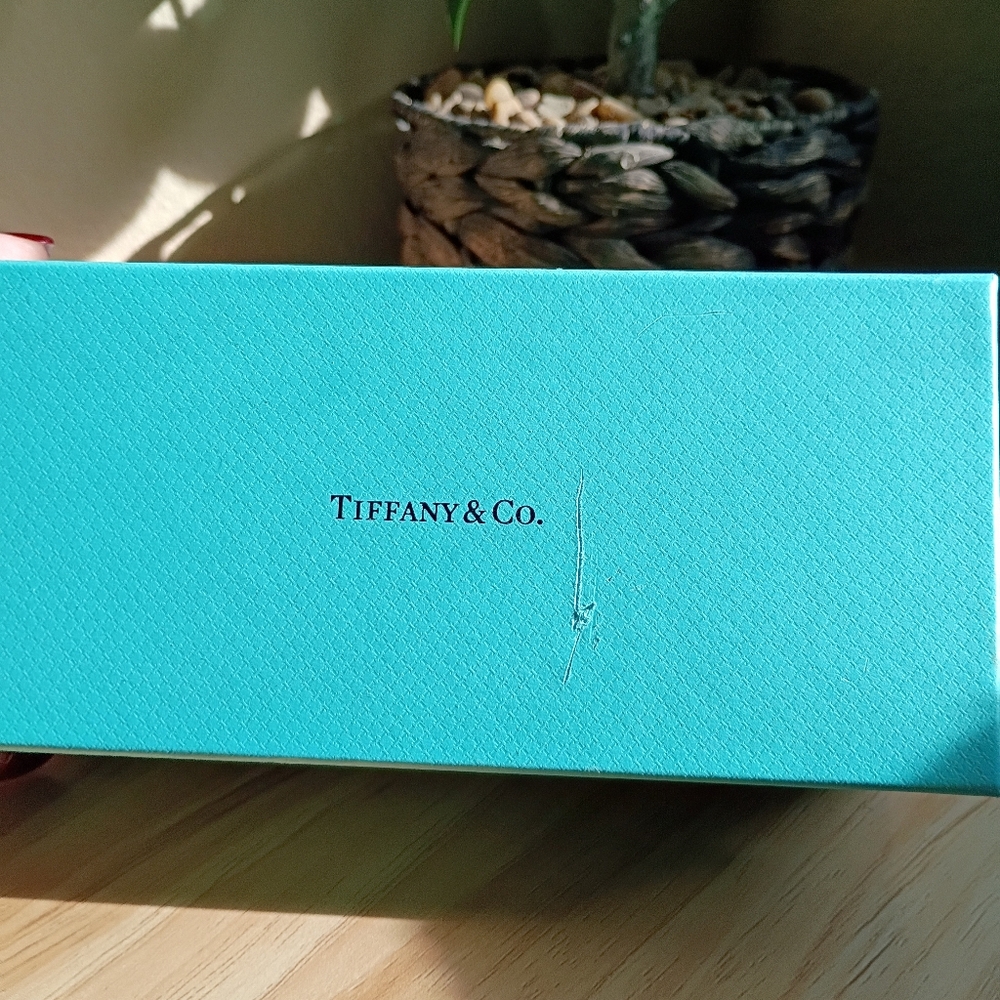 Tiffany & Co. Blue Eyeglasses Case - Picture 15 of 15